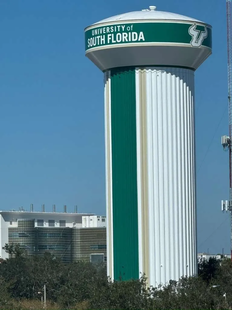 Bull logo side