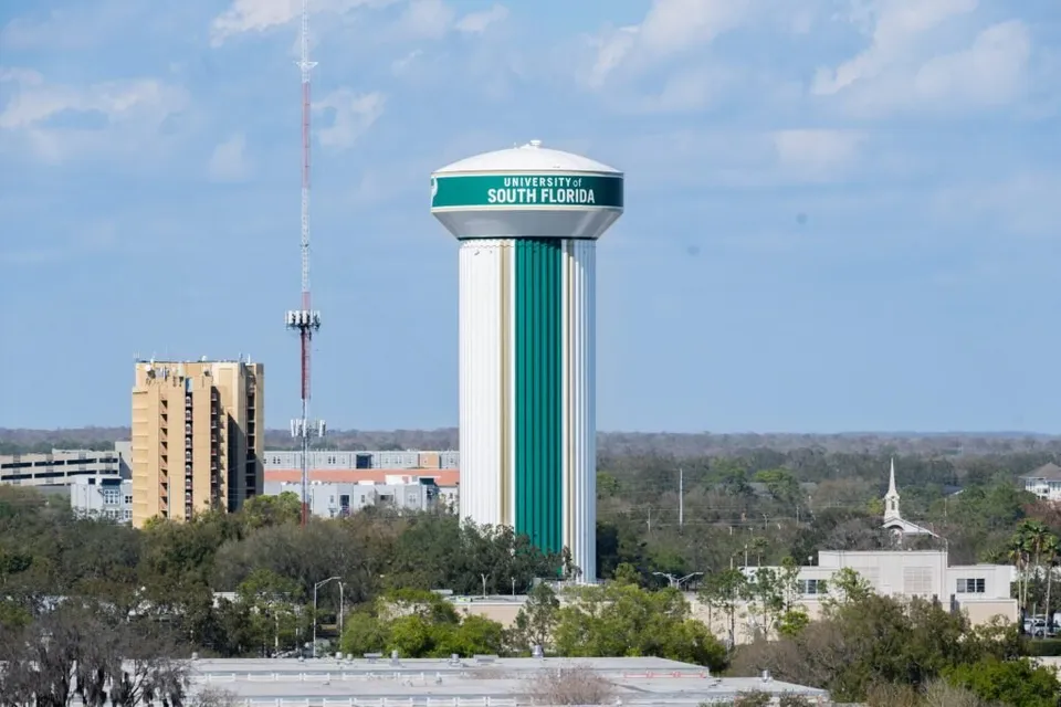 Over the skyline